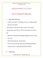 Giáo án chương trình mới: Lớp lá ĐỀ TÀI : NÓN RƠM CỦA BÔNG HOA ppt