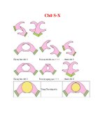 GIÁO DỤC MẦM NON Chữ S-X ppt