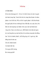 Trò chơi cho bé vào lớp 1: Trốn tìm doc