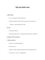 Xếp loại thiếu máu ppt