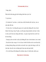 Trò chơi cho bé vào lớp 1: Tôi nhìn thấy tất cả pptx