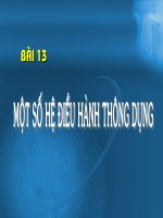 Bài giảng tin học 13: Một số hệ điều hành thông dụng