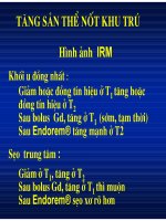 Chẩn doán hình ảnh : U Gan part 4 ppsx