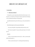 HỒI SỨC SUY HÔ HẤP CẤP ppsx