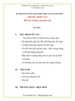 Giáo án chương trình đổi mới ĐỀ TÀI : Những chú bướm xinh pdf