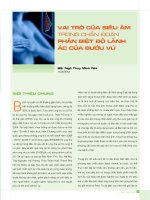 VAI TRÒ CỦA SIÊU ÂM TRONG CHUẨN ĐOÁN ĐO ĐỘ LÀNH ÁC CỦA BƯỚU VÚ pptx