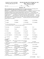 ĐỀ KIỂM TRA HỌC KỲ II NĂM HỌC 2010 - 2011 MÔN : ANH VĂN - KHỐI 10 docx