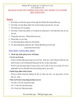 Giáo án giảng dạy khối lớp Lá: Tháng 9 pot