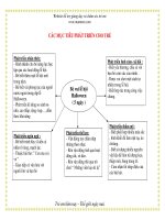 Giáo án giảng dạy khối lớp Lá: CÁC MỤC TIÊU PHÁT TRIỂN CHO TRẺ ppsx