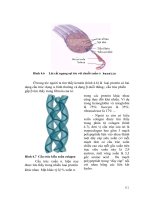 Giáo trình Công nghệ Protein part 6 docx