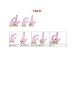 GIÁO DỤC MẦM NON Chữ D ppt