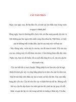 Kể chuyện bé nghe: CÂY TÁO THẦN ppsx