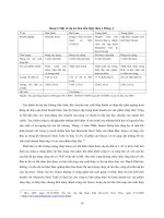 Công nghiệp gang thép Việt Nam : Một giai đoạn phát triển và chuyển đổi chính sách mới part 4 pptx