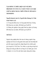 BÁO CÁO KHOA HỌC: 