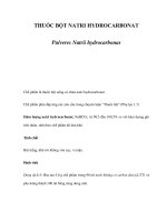 THUỐC BỘT NATRI HYDROCARBONAT pot