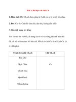 Bé học phụ âm ghép: Bài 1: Bài học với chữ Ch potx