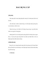 ĐAU BỤNG CẤP potx