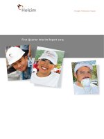 First quarter interim report 2013 strength performance passion holcim