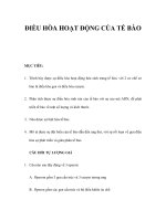 ĐIỀU HÒA HOẠT ĐỘNG CỦA TẾ BÀO potx