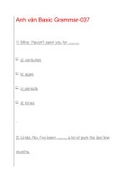 Anh văn Basic Grammar-037 pps