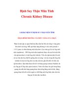 Bịnh Suy Thận Mãn Tính Chronic Kidney Disease1) pdf