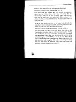 Norton Ghost : Chương trình sao chép ổ cứng tiên tiến nhất part 9 pdf