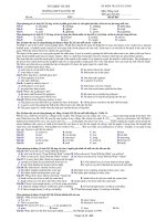 ĐỀ KIỂM TRA CHẤT LƯỢNG Môn: Tiếng Anh - TRƯỜNG THPT NGUYỄN DU docx