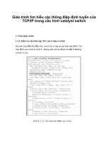 Giáo trình tìm hiểu các thông điệp định tuyến của TCP/IP trong cấu hình catalyst switch phần 1 ppt