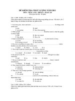 ĐỀ KIỂM TRA CHẤT LƯỢNG NĂM 2011 MÔN : TIẾNG ANH KHỐI D - Mã đề: 228 docx