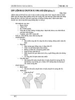 GÃY LIÊN MẤU CHUYỂN XƯƠNG ĐÙI pps