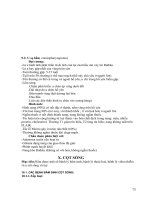 ĐIỆN QUANG THẦN KINH part 10 ppt