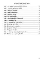 Đề cương kỹ thuật xung số pps