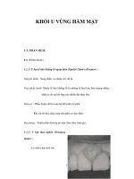 KHỐI U VÙNG HÀM MẶT pot