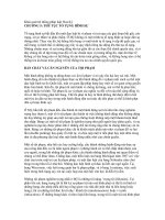 Khái quát hệ thống pháp luật Hoa Kỳ - CHƯƠNG 5: THỦ TỤC TỐ TỤNG HÌNH SỰ pps