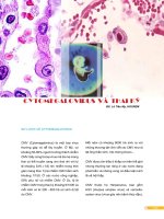 CYTOMEGALOVIRUS VÀ THAI KỲ doc