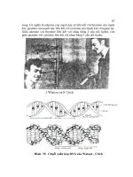 CƠ SỞ DI TRUYỀN CHỌN GIỐNG ĐỘNG VẬT part 5 doc