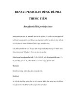 BENZYLPENICILIN DÙNG ĐỂ PHA THUỐC TIÊM ppt