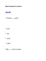 Basic Grammar''''s archiveTest 032 pdf