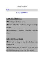 Giáo án tin học 9 - BÀI CÂU LỆNH ĐƠNKIẾN THỨC YÊU CẦU potx