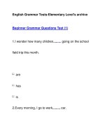 English Grammar Tests-Elementary Level''''s archiveBeginner Grammar Questions Test (1) docx