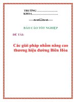 Báo cáo tốt nghiệp: Các giải pháp nhằm nâng cao thương hiệu đường Biên Hòa docx