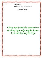 Công nghệ chuyển protein và sự tổng hợp một peptid Runx 3 có thể di chuyển trực doc