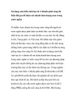 BÁO CÁO KHOA HỌC: 