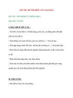 CHỦ ĐỀ: BÉ TÌM HIỂU CÁC LOẠI HOA ĐỀ TÀI : NÓN RƠM CỦA BÔNG HOA ppt