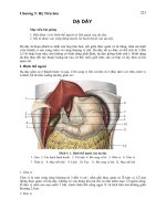 Chương 5. Hệ Tiêu hóa pdf
