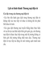 Bài giảng Thương mại điện tử : GIỚI THIỆU MÔN HỌC part 6 pptx