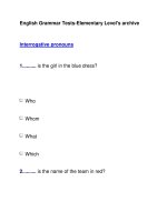 English Grammar Tests-Elementary Level''''s archiveInterrogative pronouns potx
