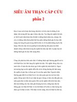 SIÊU ÂM THẬN CẤP CỨU phần 2 ppt