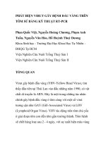 BÁO CÁO KHOA HỌC: 