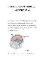 TÌM HIỂU VỀ BỆNH VIÊM NÃO – VIÊM MÀNG NÃO docx